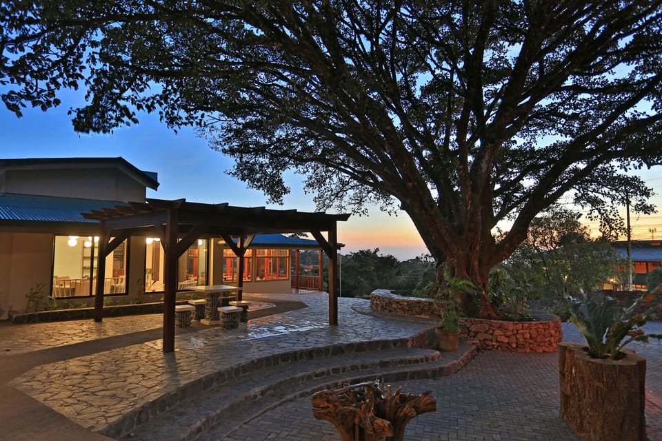 Land view from property