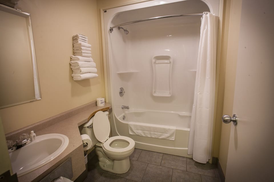 Combined shower/tub, free toiletries, towels, soap