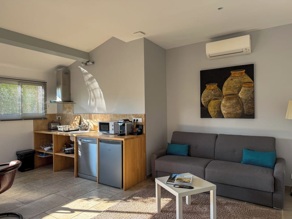 Executive Suite | Living area