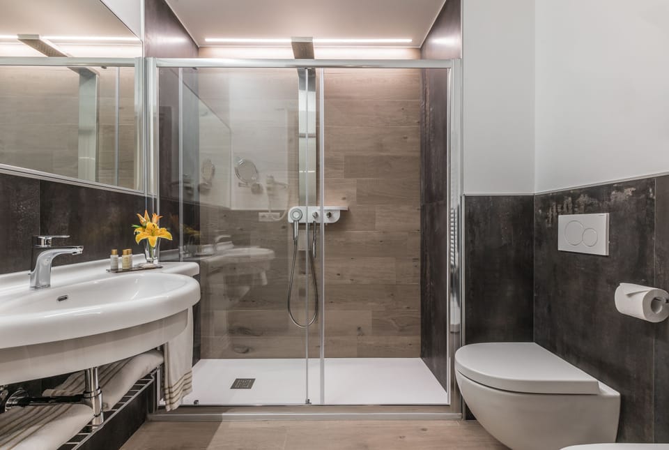 Shower, free toiletries, hair dryer, bidet