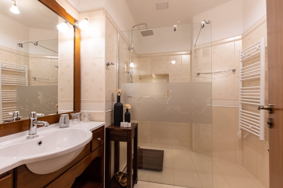 Deluxe Double Room | Bathroom | Shower, rainfall showerhead, free toiletries, hair dryer