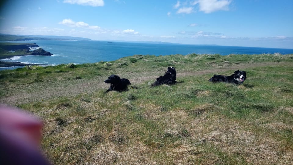Dunseverick Ramblers Rest Bed and Breakfast in Northern Ireland