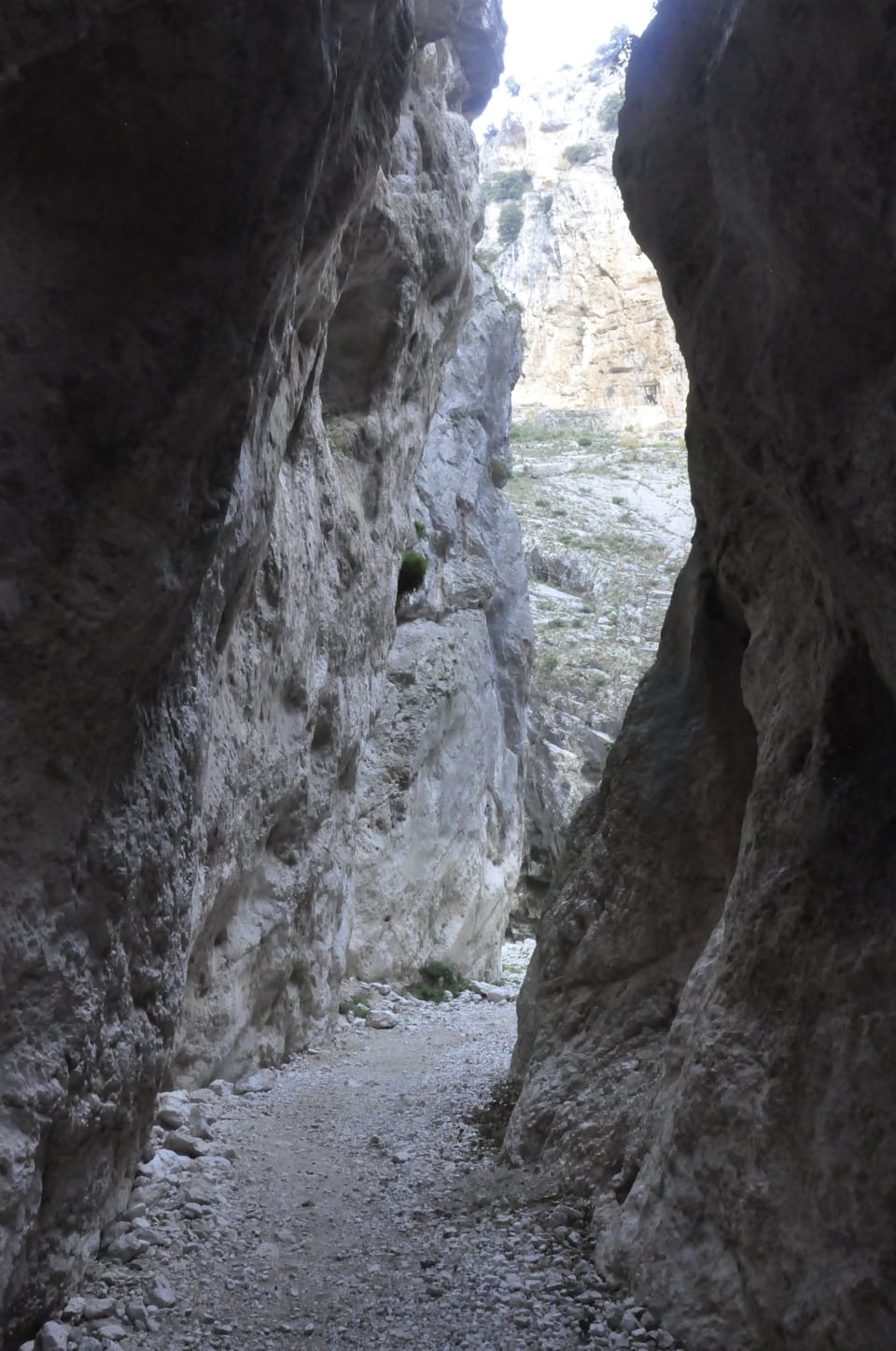 Hiking