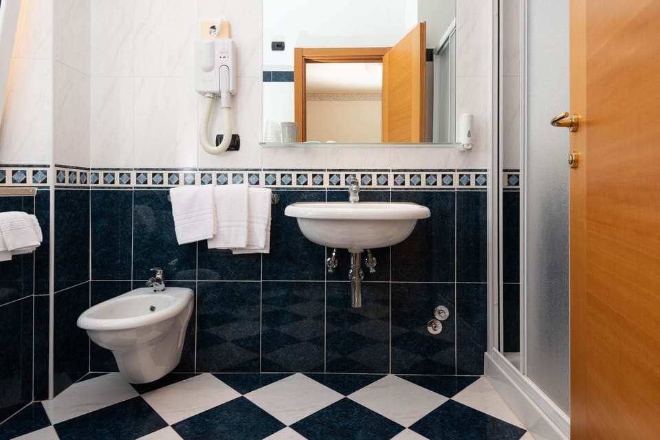 Shower, free toiletries, hair dryer, bidet