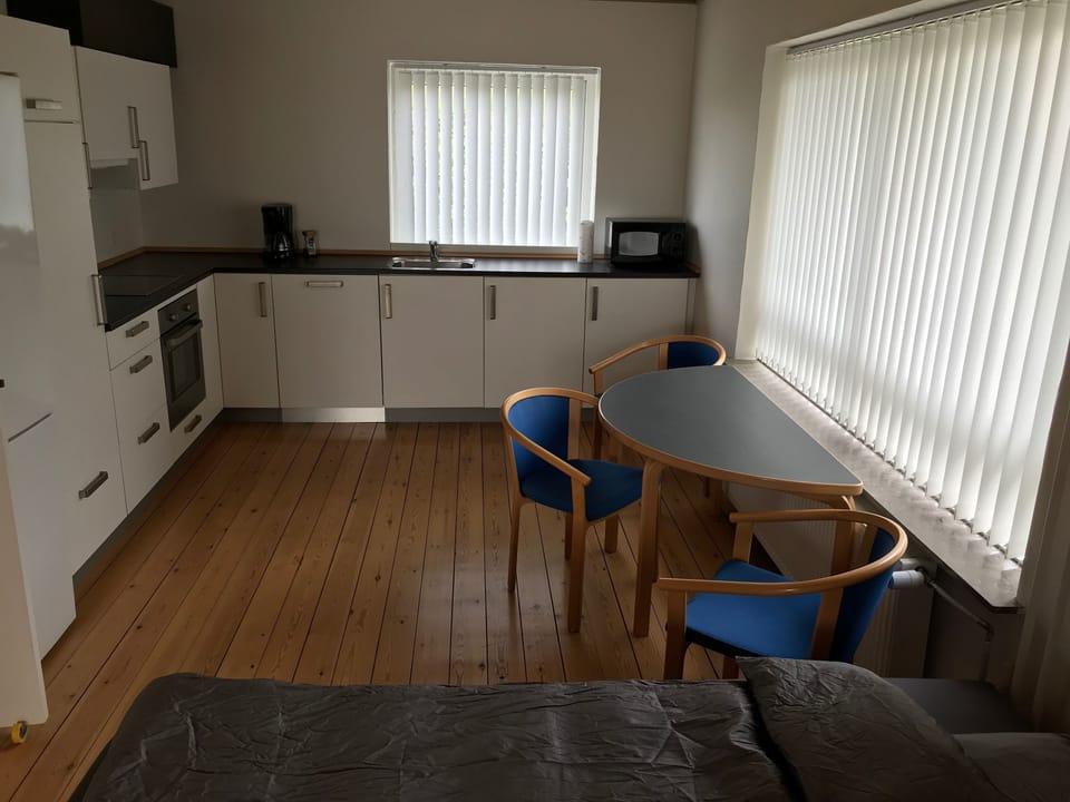 City Apartment, 1 Double Bed with Sofa bed, Garden View, Garden Area | Private kitchen | Oven, griddle, cookware/dishes/utensils, cleaning supplies