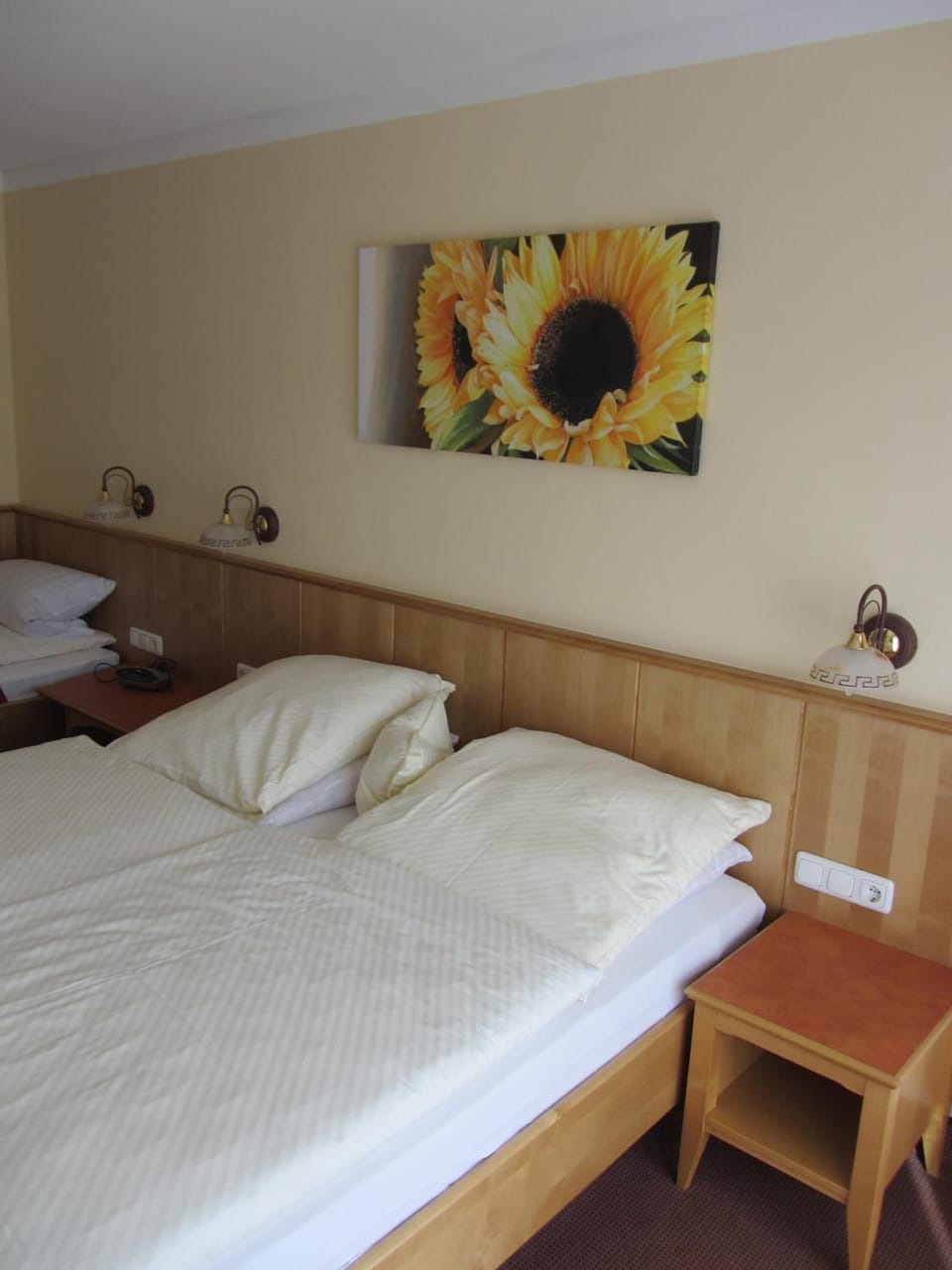 Hypo-allergenic bedding, desk, soundproofing, free WiFi