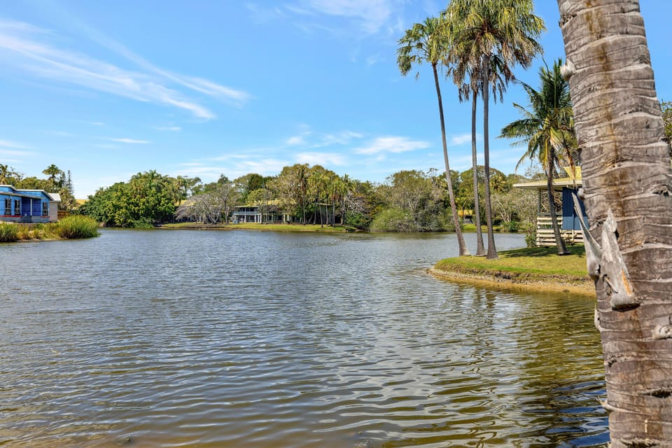 Lake view