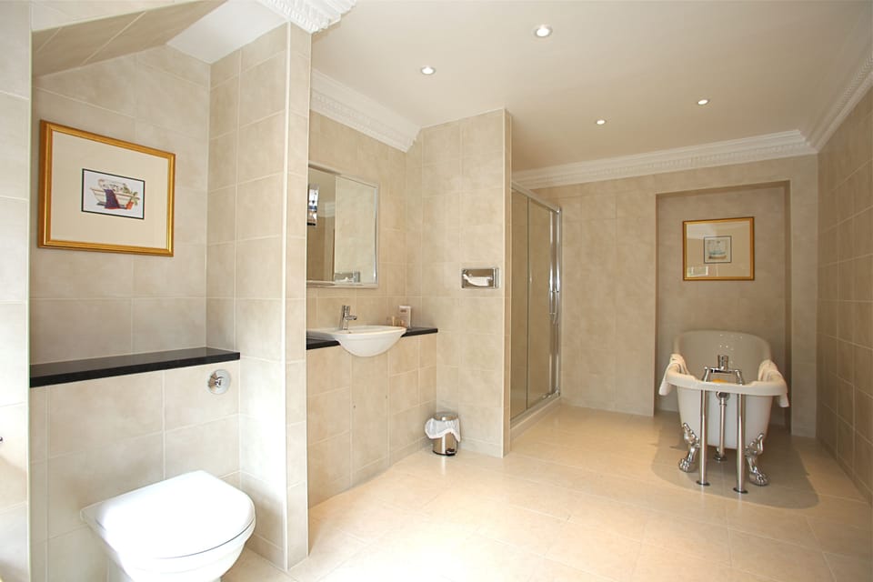 Combined shower/tub, free toiletries, hair dryer, towels