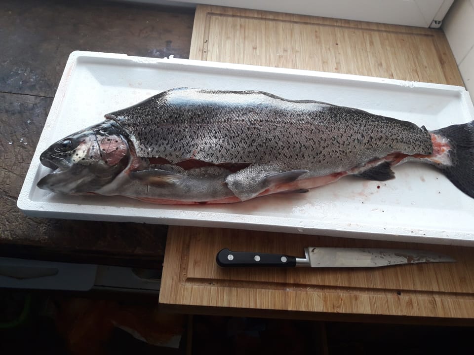 Fishing