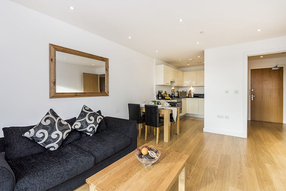 City Apartment, 1 King Bed, Non Smoking, City View | Living area | Flat-screen TV