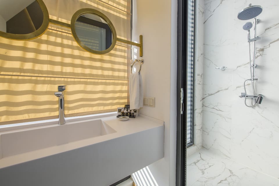 Standard Double or Twin Room | Bathroom | Shower, free toiletries, hair dryer, bathrobes