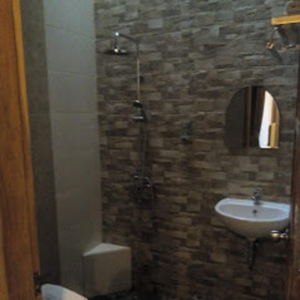 Deluxe Double or Twin Room | Bathroom | Shower, free toiletries, towels