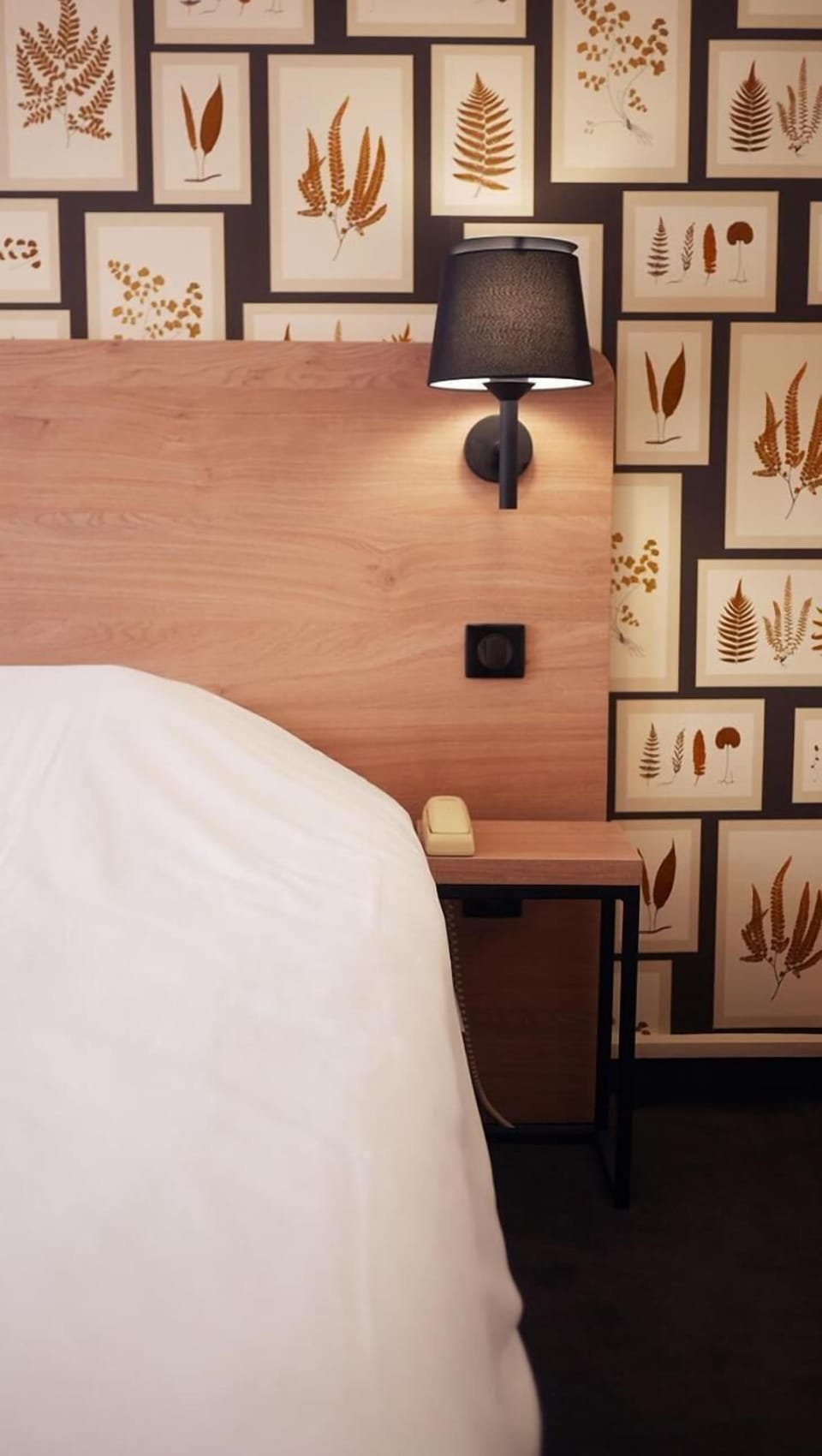 Desk, rollaway beds, free WiFi, bed sheets