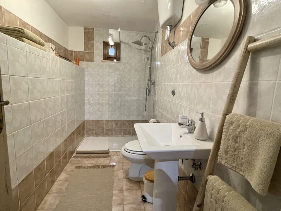 Studio | Bathroom | Shower, free toiletries, bidet, towels