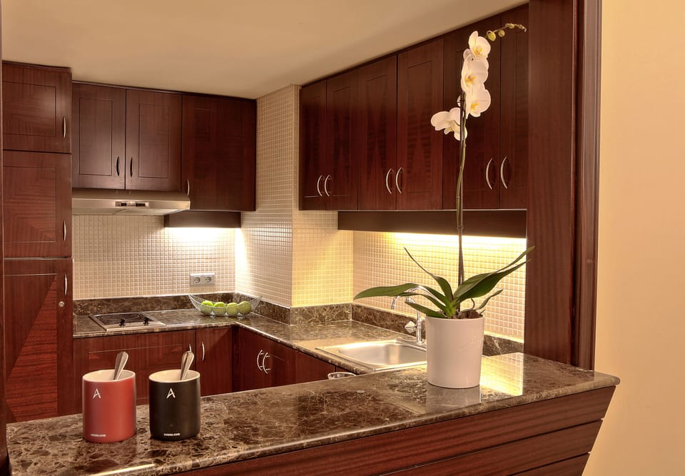 Fridge, microwave, stovetop, electric kettle