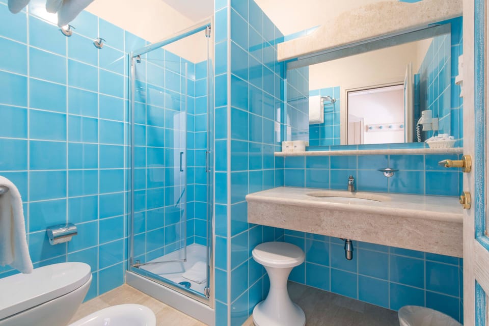 Shower, hair dryer, bidet, towels