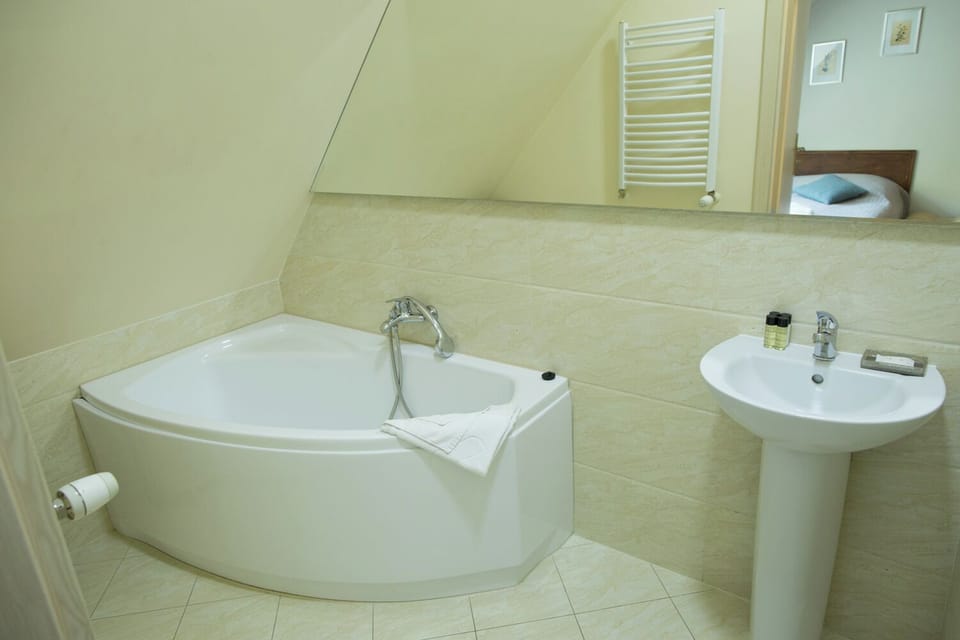 Double Room (4) | Bathroom | Free toiletries, hair dryer, towels