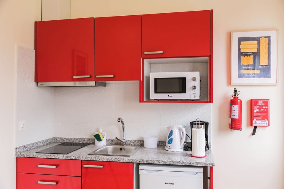 Apartment, 1 Bedroom | Private kitchenette | Full-size fridge, microwave, stovetop, coffee/tea maker