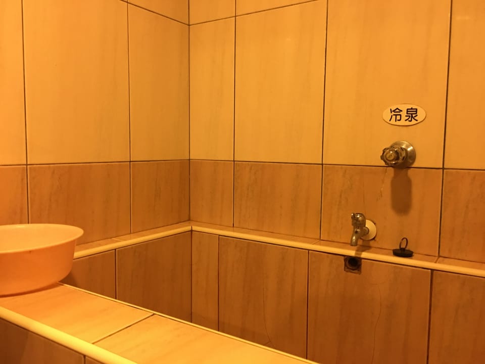 Economy Twin Room （Free Hot and Cold Spring） | Bathroom | Combined shower/tub, spring water tub, free toiletries, hair dryer