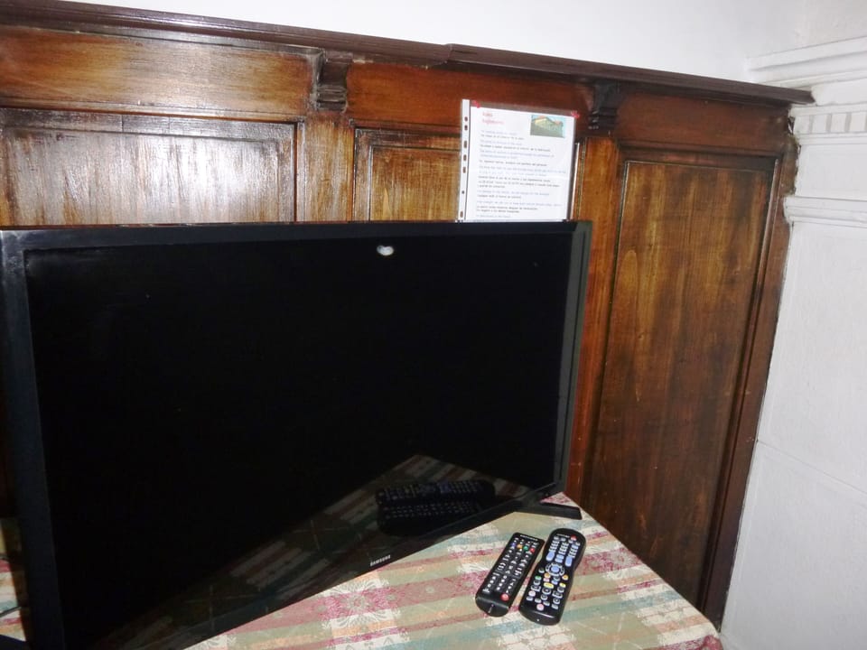 Television