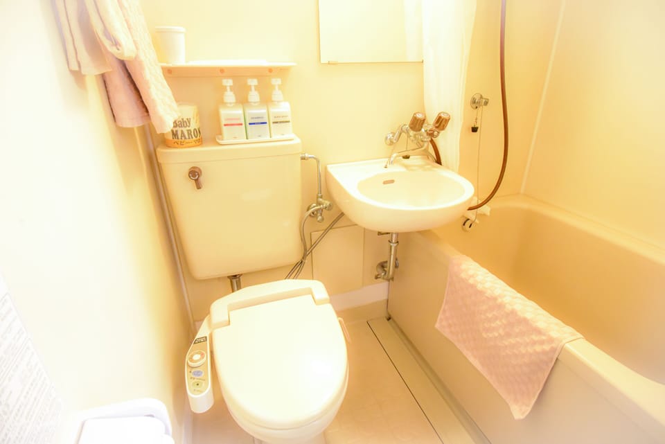 Combined shower/tub, free toiletries, hair dryer, slippers