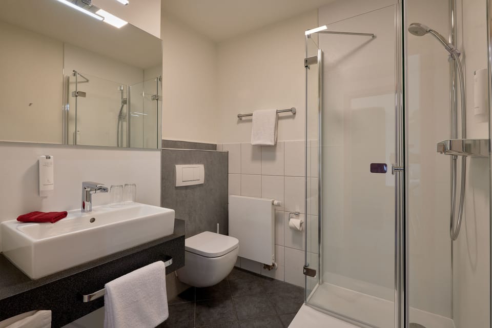 Classic Double Room | Bathroom | Shower, free toiletries, hair dryer, towels