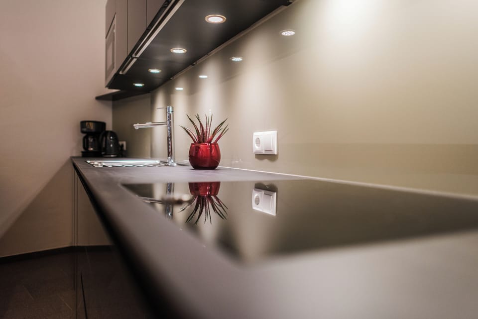 Full-size fridge, stovetop, toaster, cookware/dishes/utensils