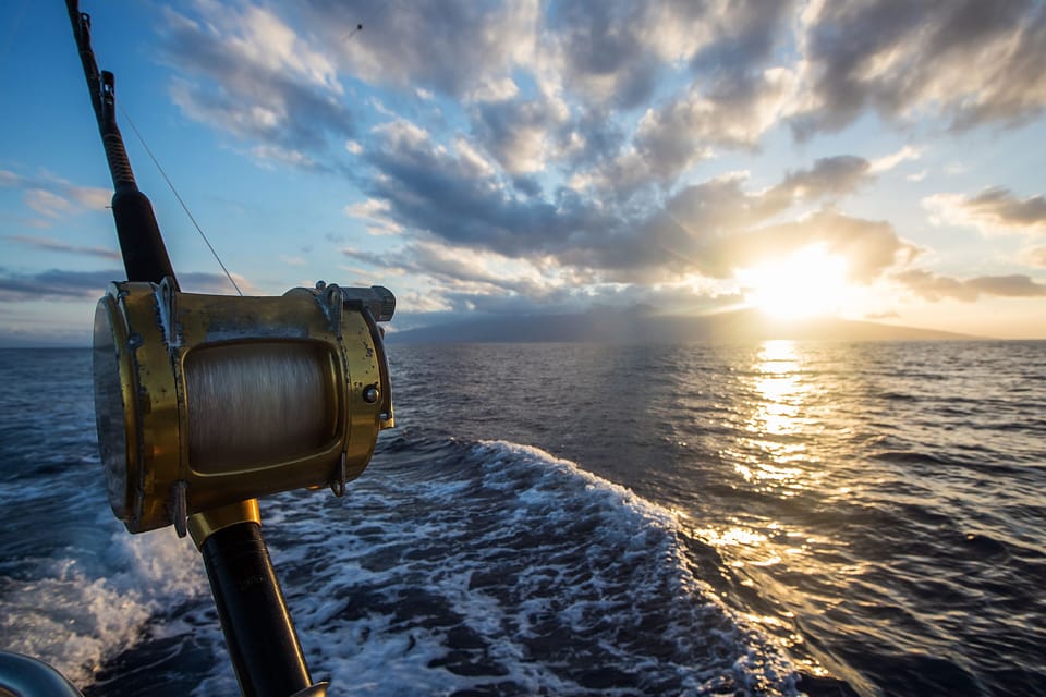 Fishing