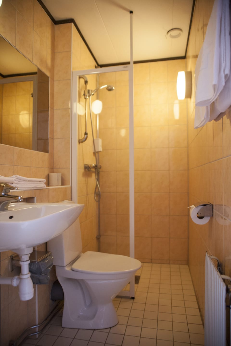 Basic Double or Twin Room | Bathroom | Shower, free toiletries, hair dryer, towels