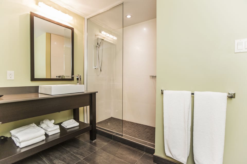 Free toiletries, hair dryer, towels