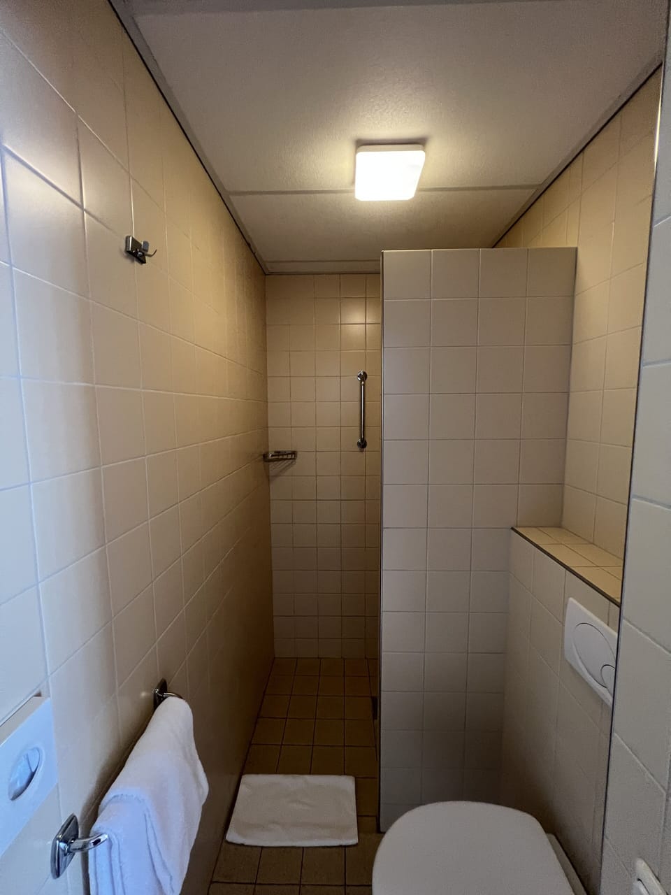 Basic Room | Bathroom | Shower, designer toiletries, hair dryer, towels