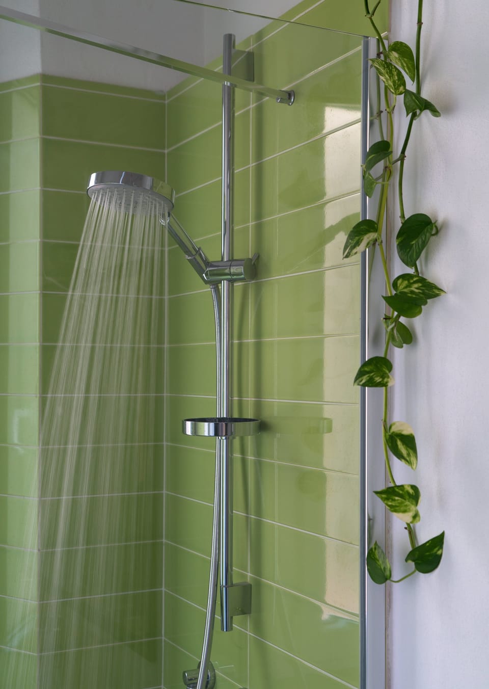 Double Room (60s) | Bathroom shower