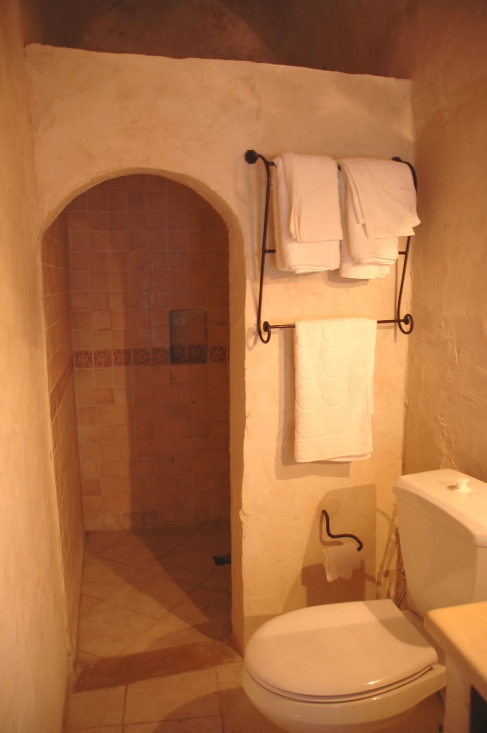 Shower, free toiletries, towels