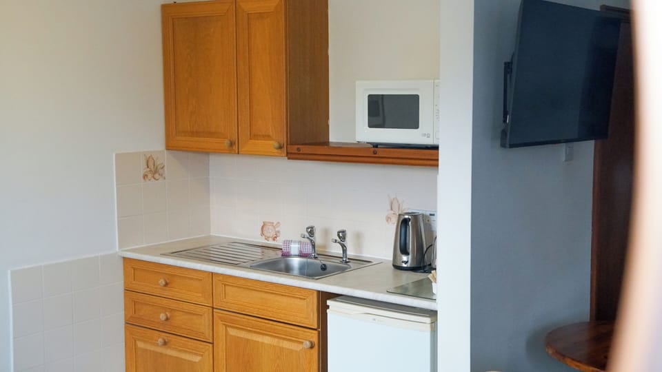 Fridge, microwave, coffee/tea maker, electric kettle