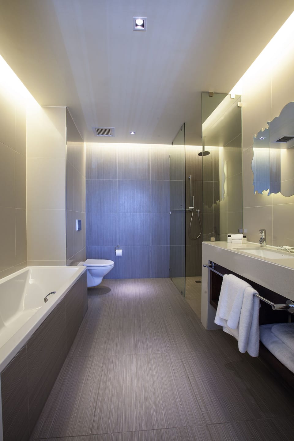 Separate tub and shower, rainfall showerhead, designer toiletries