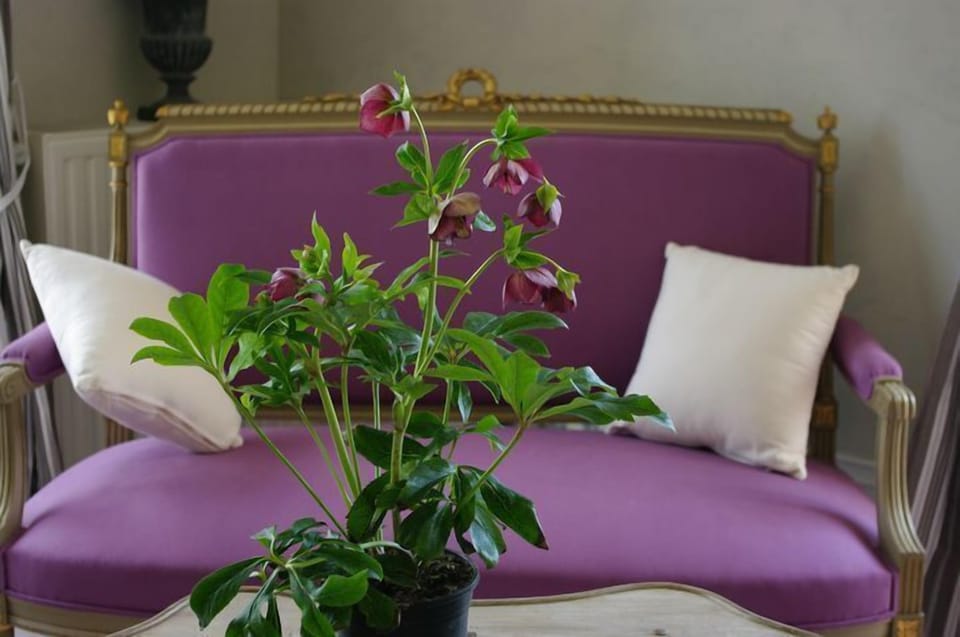 Double Room (Comte de Coubert) | In-room safe, individually decorated, individually furnished, desk