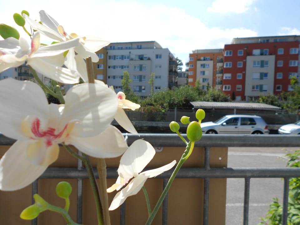 Studio, 1 Double Bed with Sofa bed, Balcony (incl. EUR 25 cleaning fee) | Balcony view