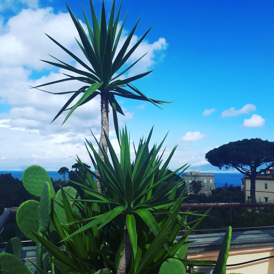 Rooftop terrace