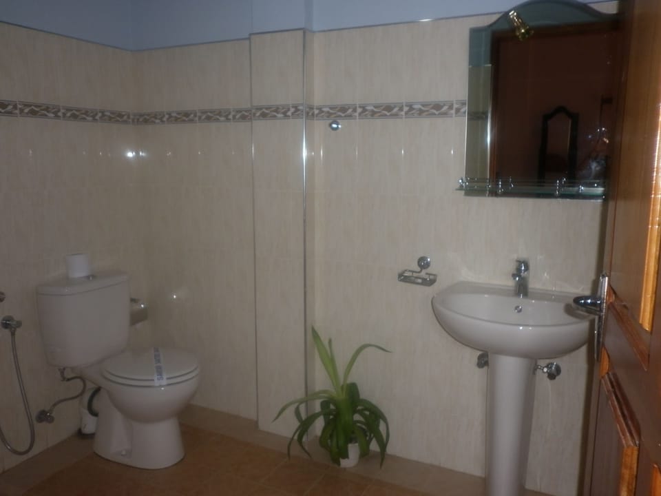 Double Room | Bathroom | Shower, free toiletries, hair dryer, bathrobes