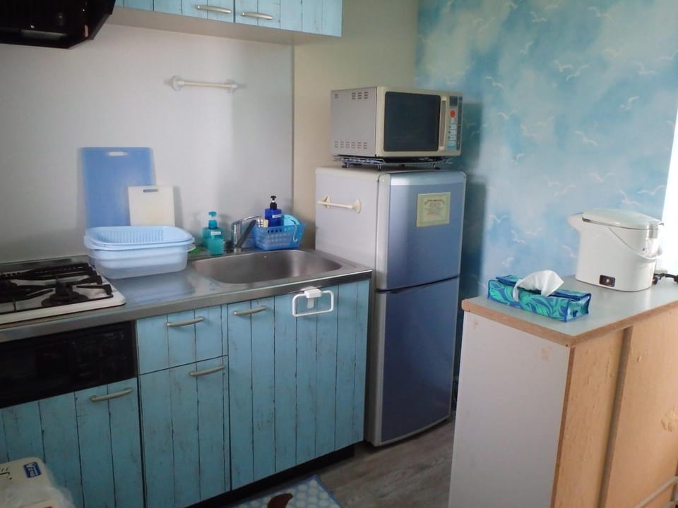 Full-size fridge, microwave, stovetop, electric kettle