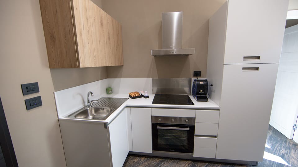 Deluxe Apartment | Private kitchen | Full-size fridge, oven, stovetop, espresso maker