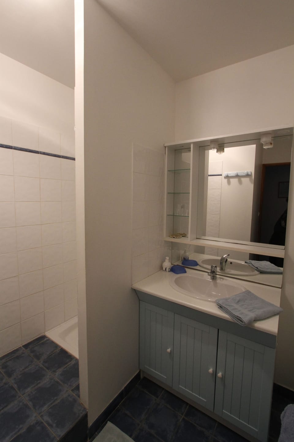 Standard Twin Room (Lavande) | Bathroom | Shower, rainfall showerhead, free toiletries, hair dryer