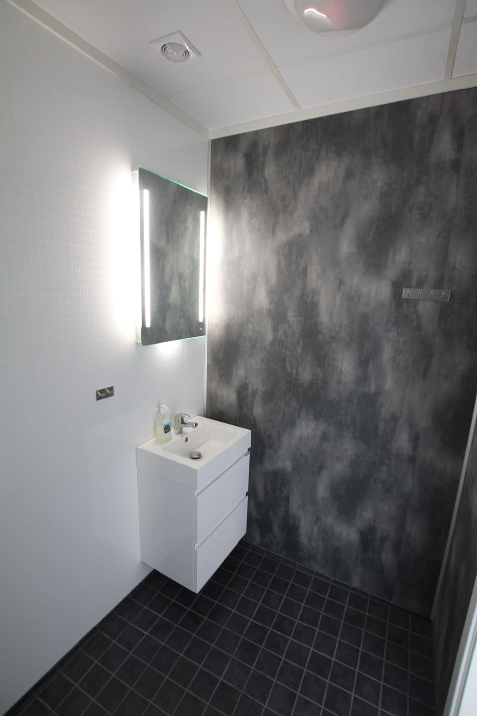 Shower, hair dryer