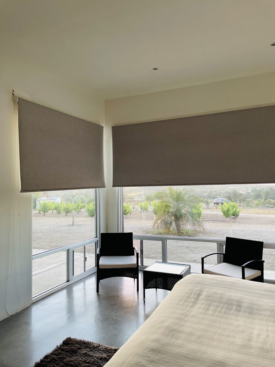 Deluxe Double Room, 1 King Bed, Terrace | Premium bedding, down comforters, memory foam beds, minibar