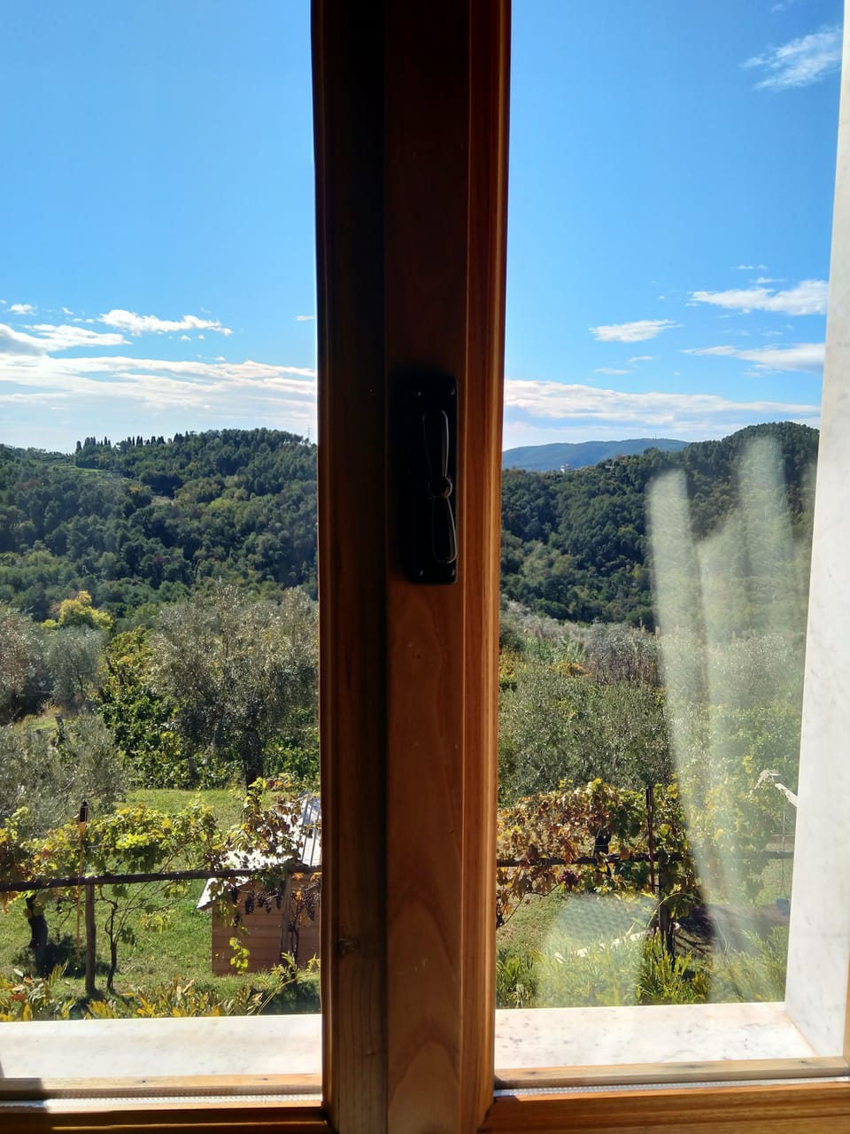 Double Room, Garden View | View from room