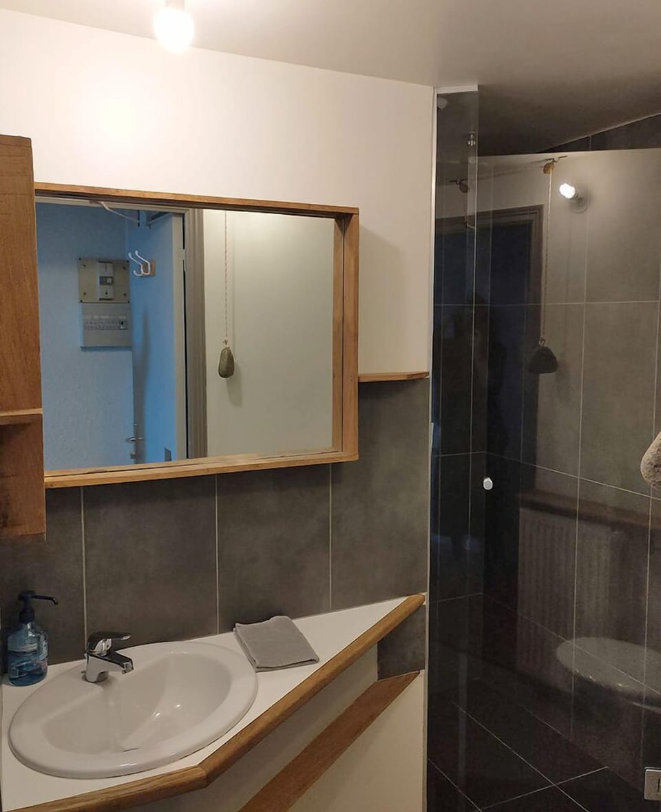 Appartement classique, 1 chambre, non-fumeurs, vue parc (25-26 Appart 2/3 pers) | Bathroom | Shower, towels