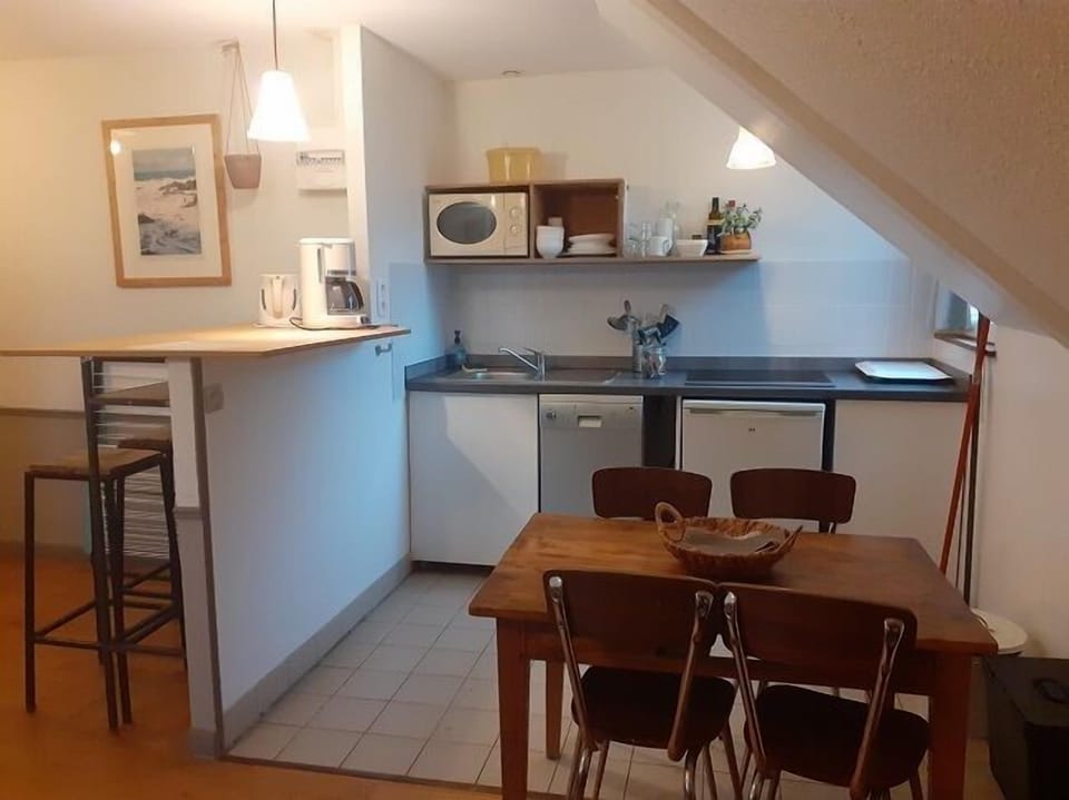 Appartement classique, 1 chambre, non-fumeurs, vue parc (25-26 Appart 2/3 pers) | Private kitchen | Fridge, microwave, stovetop, coffee/tea maker