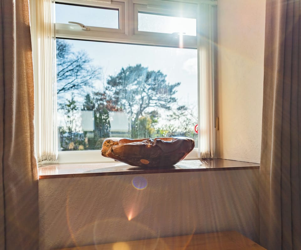 Panoramic Apartment, Mountain View | Iron/ironing board, free WiFi