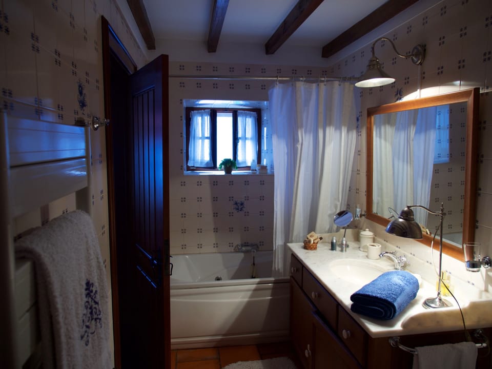 Hair dryer, bidet, towels, soap