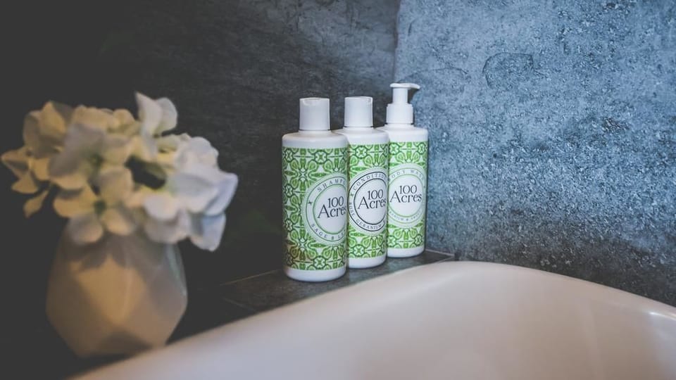 Combined shower/tub, free toiletries, hair dryer, towels